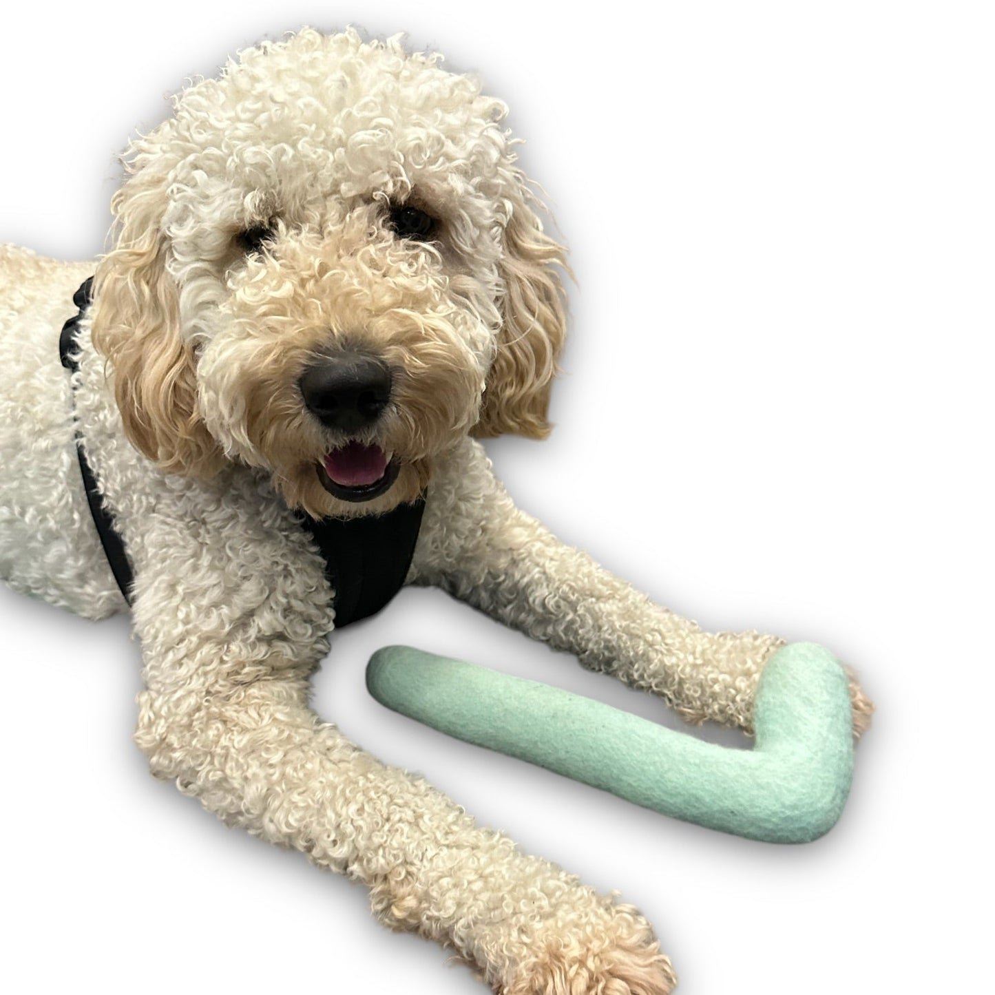 Tube Felt Dog Toy - Dog Toys - Come Here Buddy