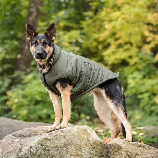 Dog Apparel Outdoor Comfort Adjustable Dark Camo Everyday - detail view