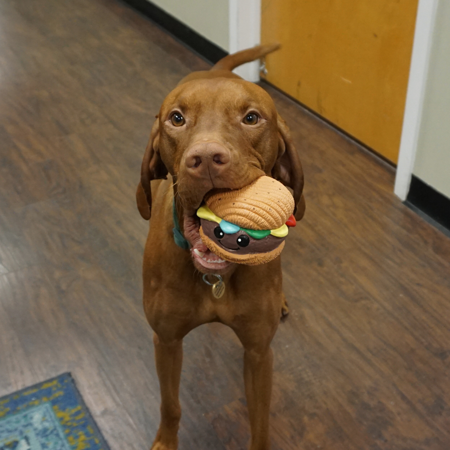 Dog Food Big Buns Foodies Hamburger Ruff-Tex Latex Ball Toy - gallery product image for dog food