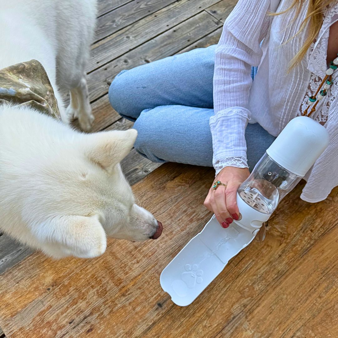 Travel Dog Water Bottle with Treat Holder โ Leakproof & BPA - Free 350mL - Walk Accessories - Tilley + Me