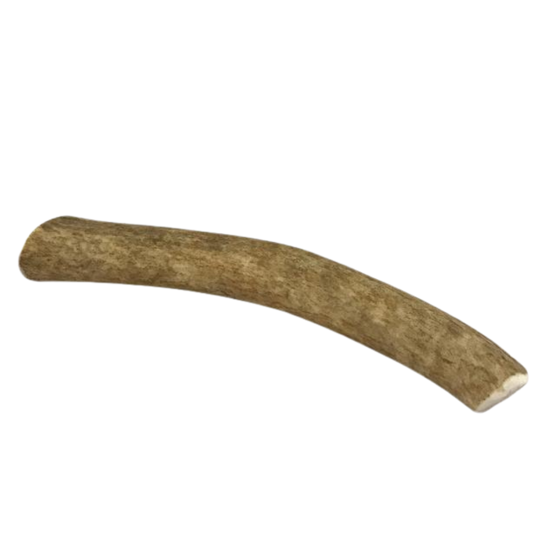 Medium Whole Elk Antler Dog Chew - Purrfect Pet Kingdom