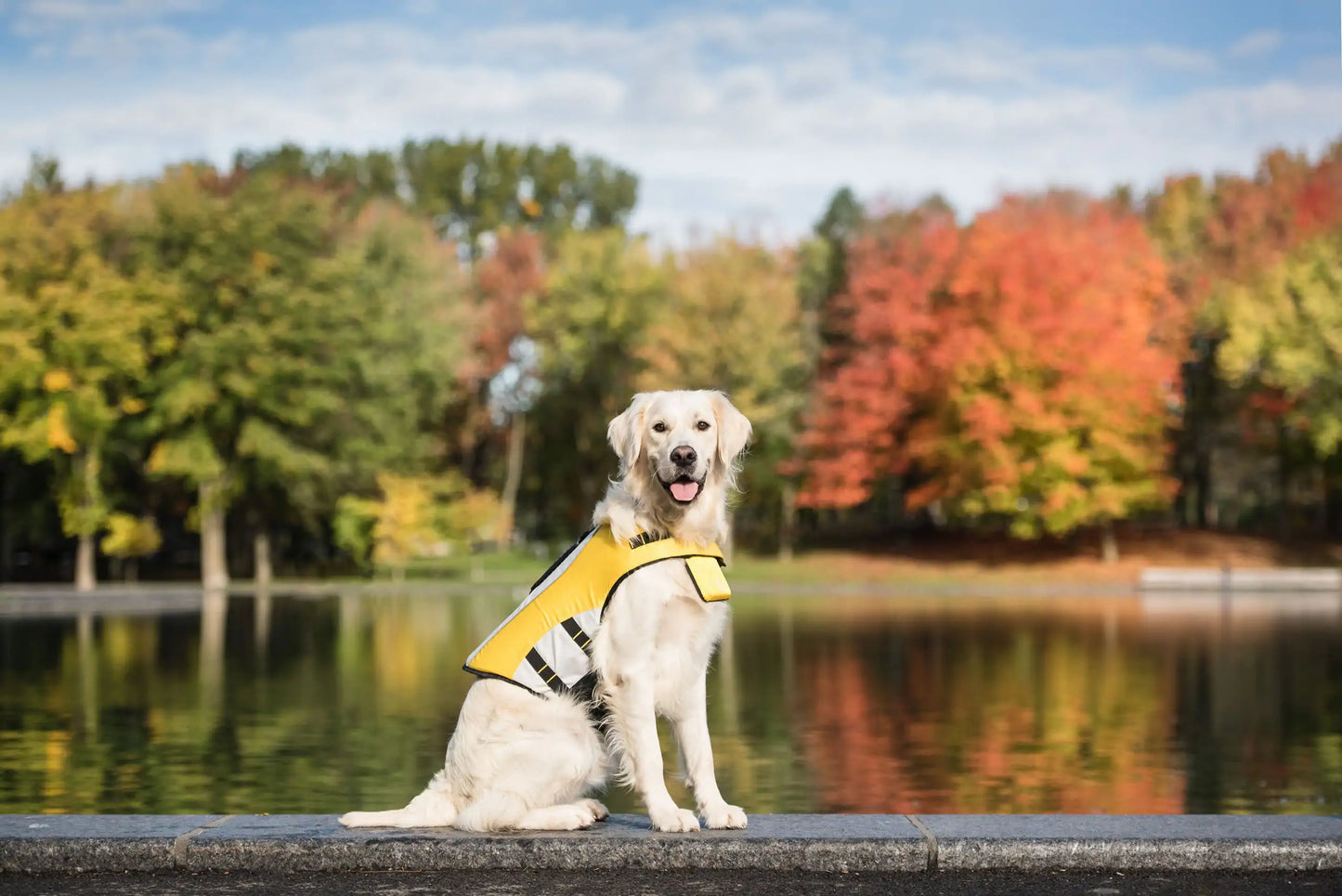Dog Life Vest Swimming Safety Jacket Buoyant ๐