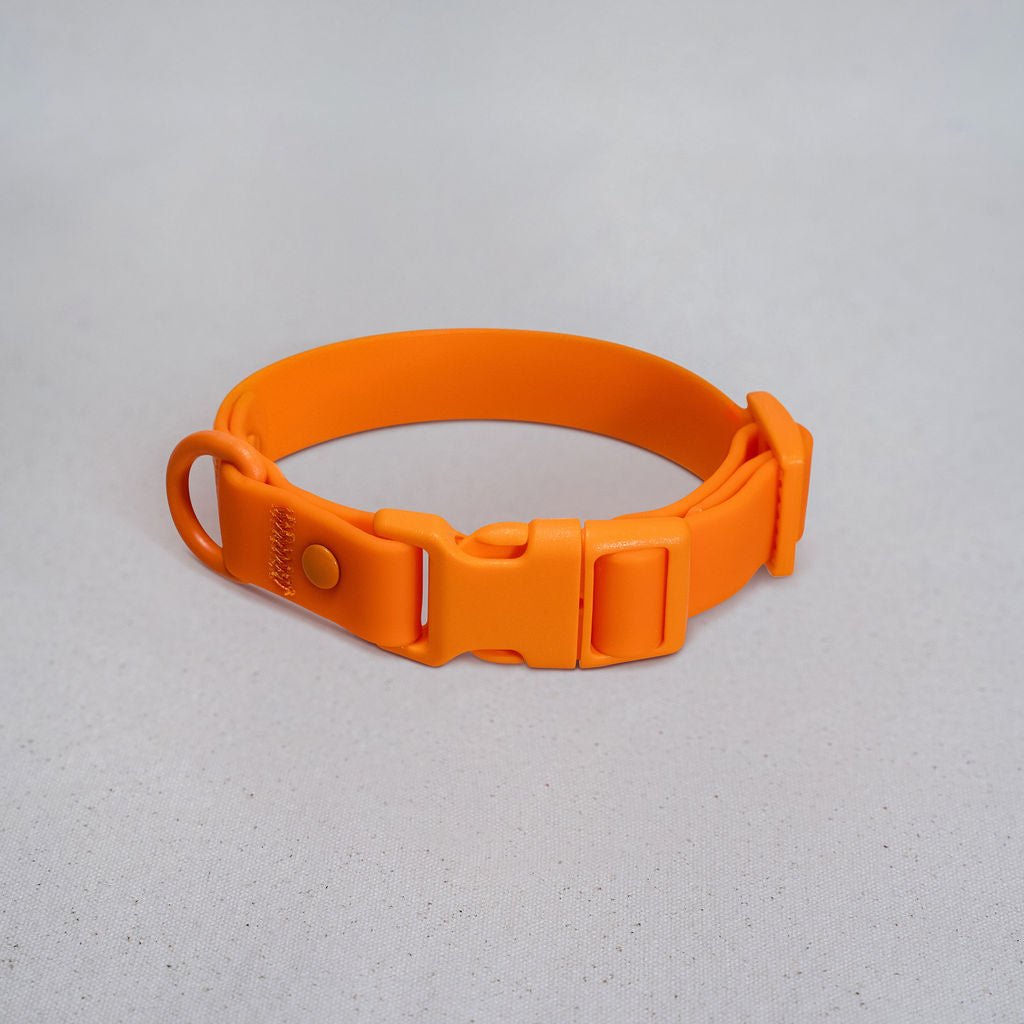 Dog Collar Waterproof PVC All Weather 🦮