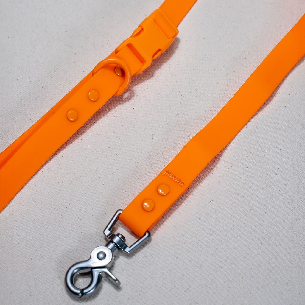 Dog Collar Waterproof PVC All Weather 🦮