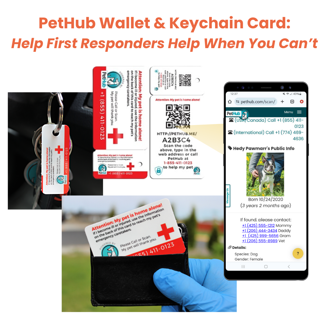 PetHub QR Pet ID Wallet & Keychain Card – Emergency Backup for Your Pet - Purrfect Pet Kingdom