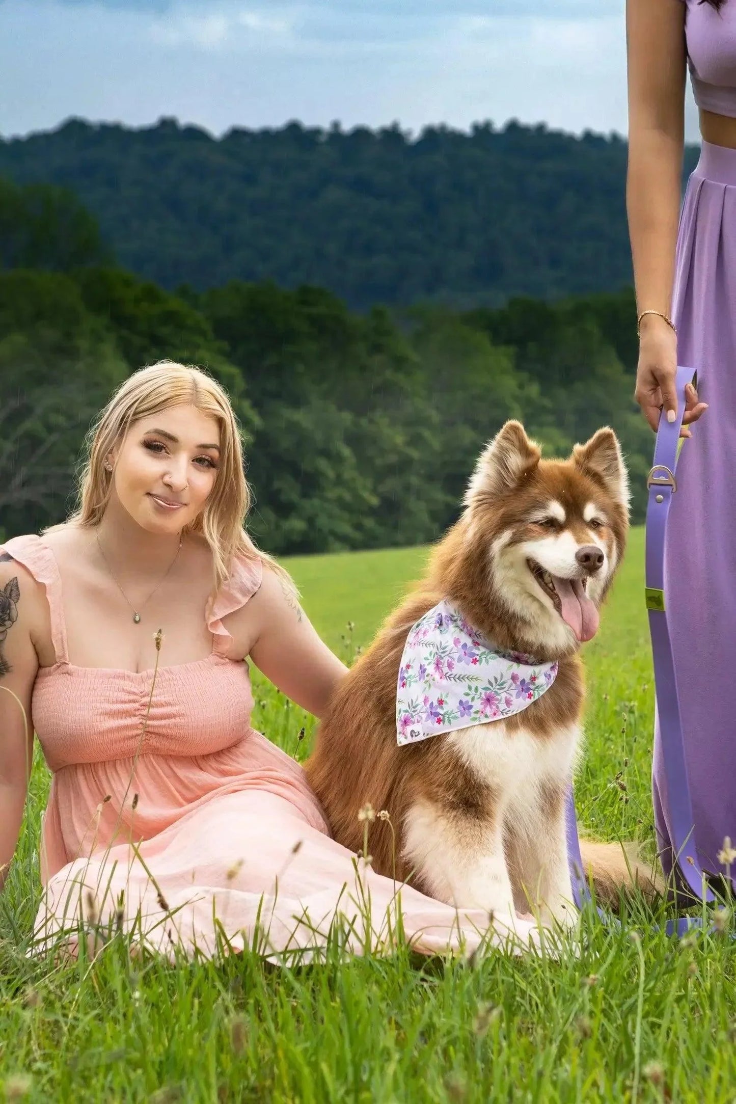 Wildflower Meadow Dog Bandana - Purrfect Pet Kingdom