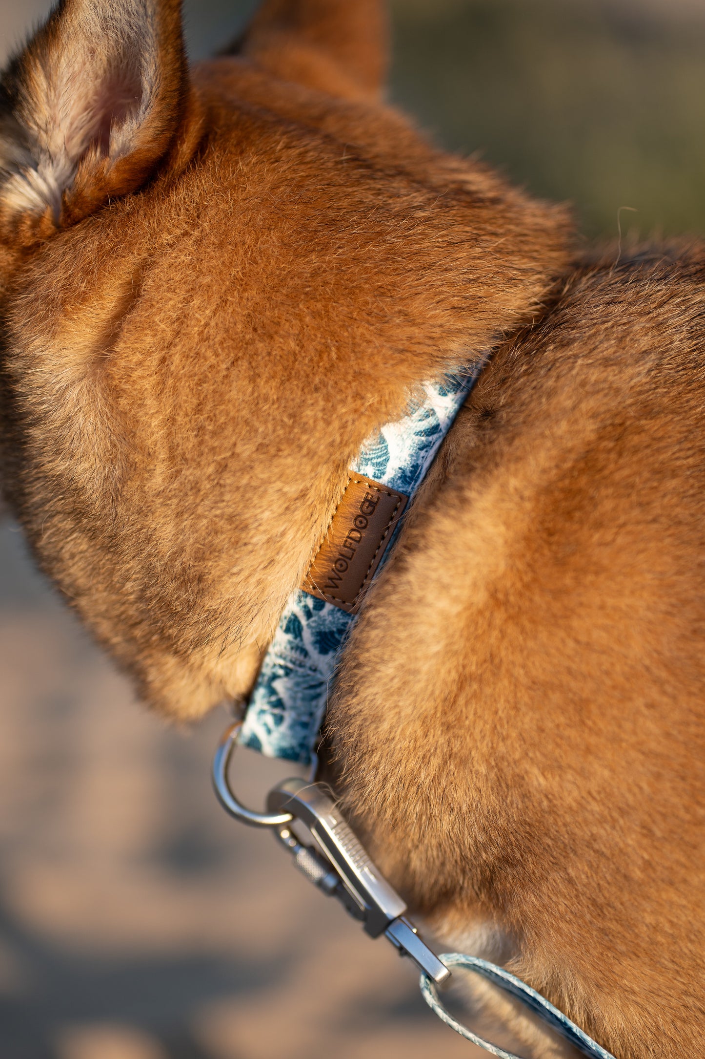 Dog Collar Japanese Wave Pattern Blue Silver ๐