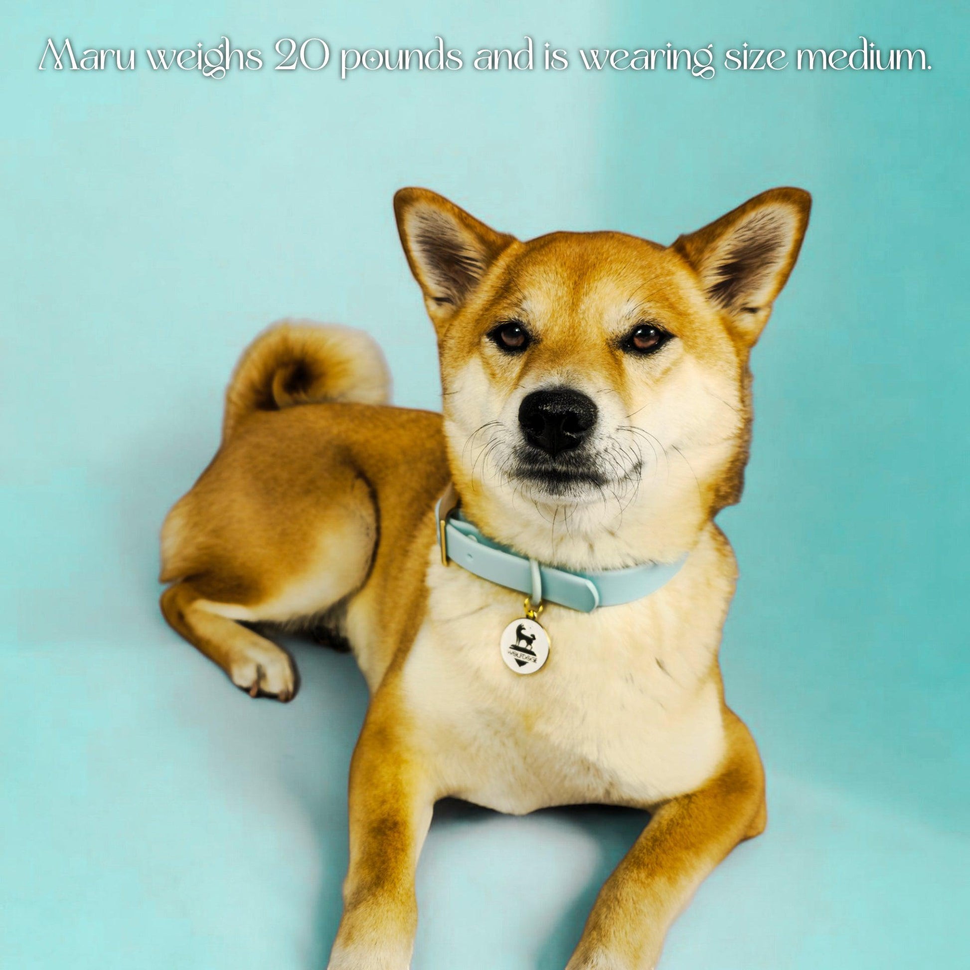 Waterproof Collar - Purrfect Pet Kingdom