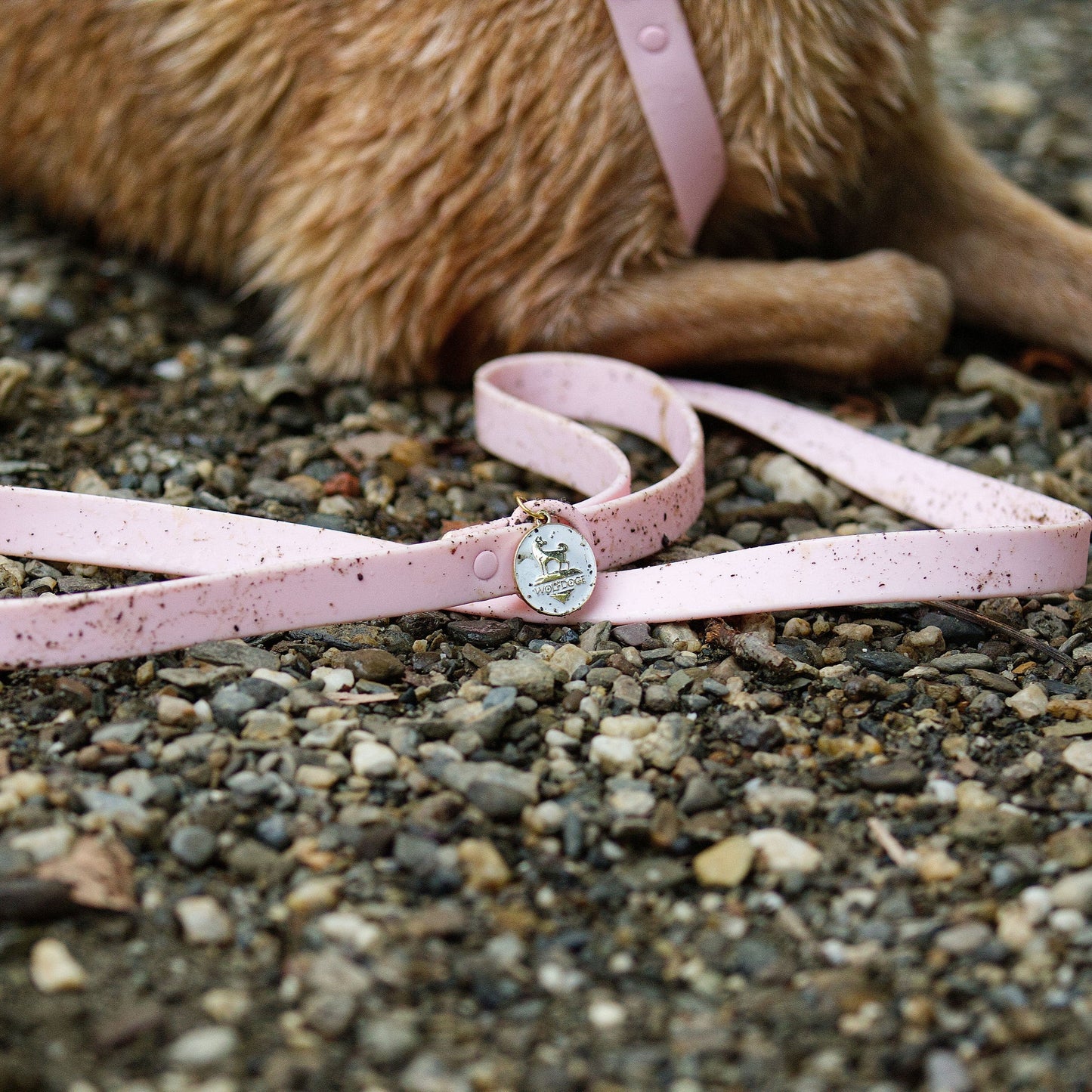 Waterproof Leash - Purrfect Pet Kingdom