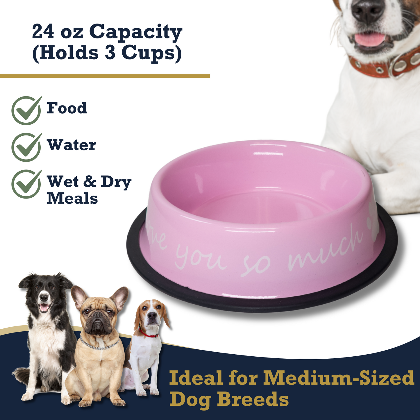 I LOVE YOU SO MUCH Modern Stainless Steel Dog Bowl – 24oz - Purrfect Pet Kingdom