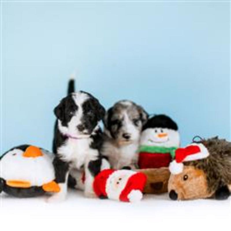 Holiday Squeakie Buddies Santa, Snowman, Reindeer Dog Toys Set - 3 pk
