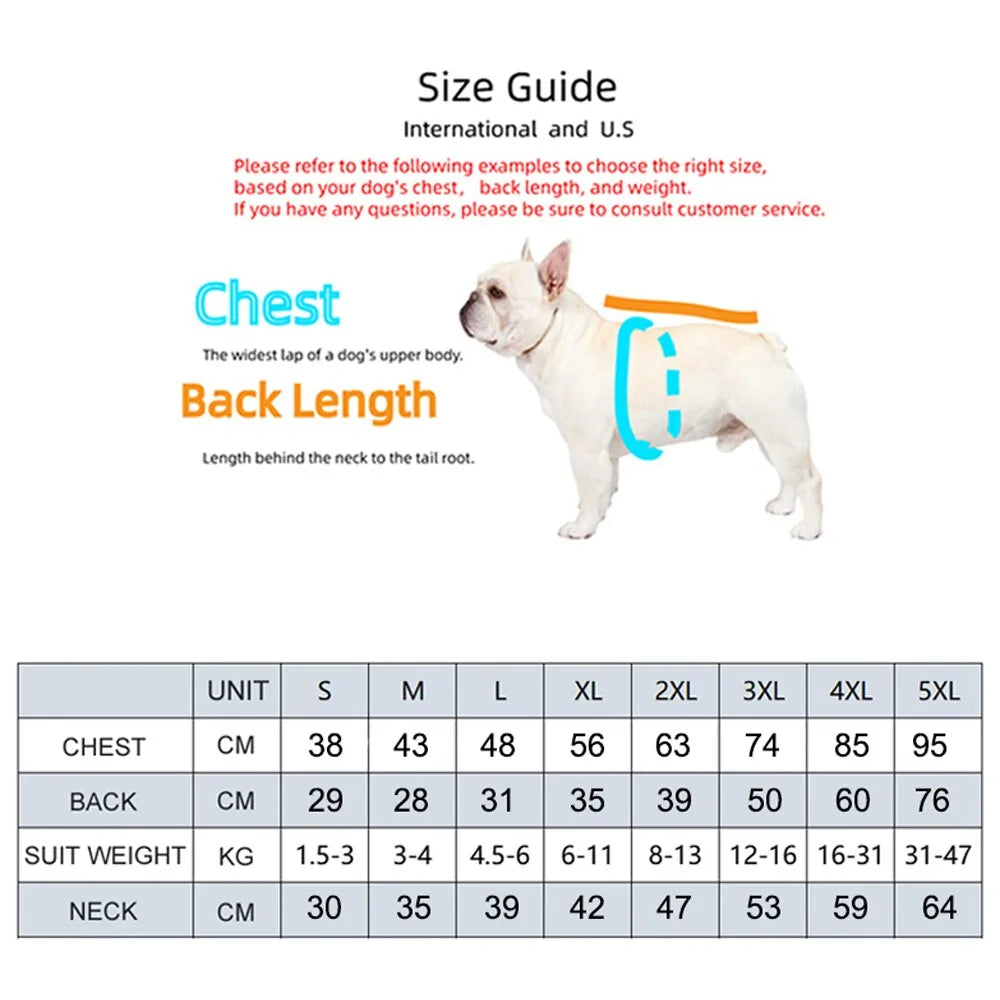Dog Winter Jacket Luxury Waterproof Insulated 🧥