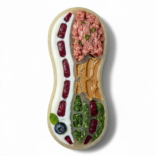 Peanut Nylon Dog Chew Toy | Ultra-Durable for Aggressive Chewers | SodaPup