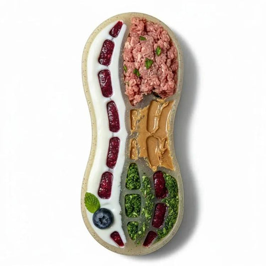 Peanut Nylon Dog Chew Toy | Ultra-Durable for Aggressive Chewers | SodaPup-Purrfect Pet Kingdom