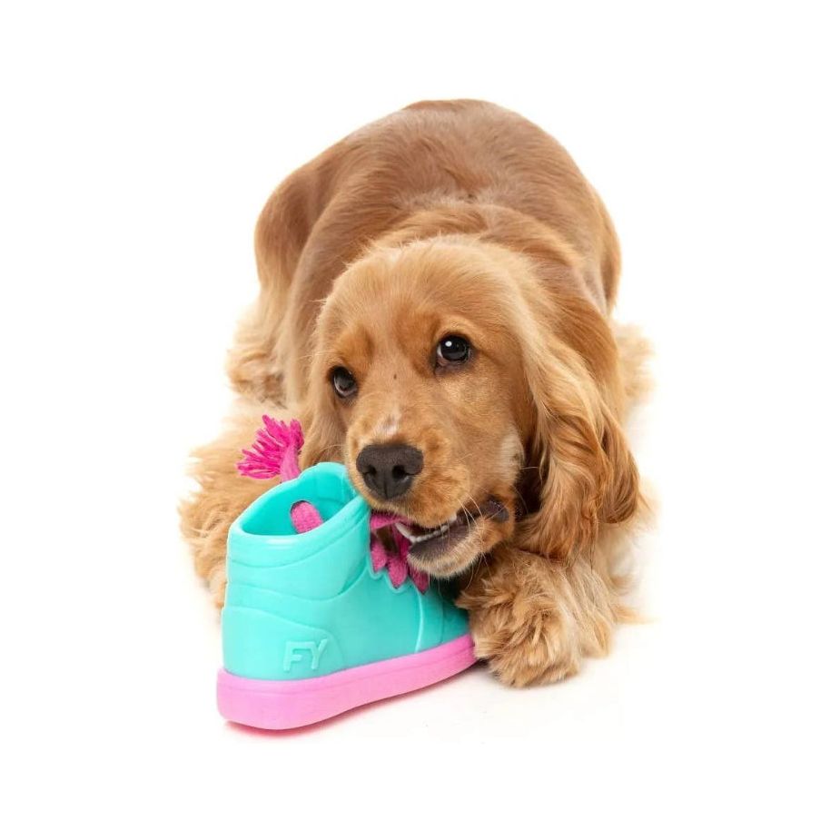 Fresh Kicks N' Licks Teal and Pink Chew Dog Toy