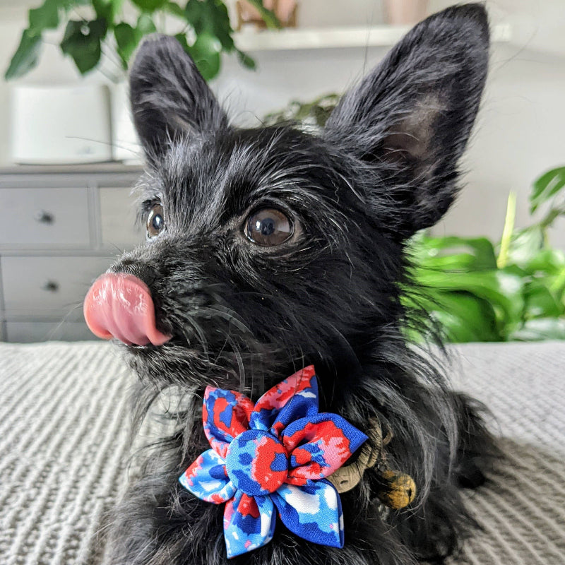 American Tie Dye Pinwheel Pet Collar Attachment - 2 Sizes
