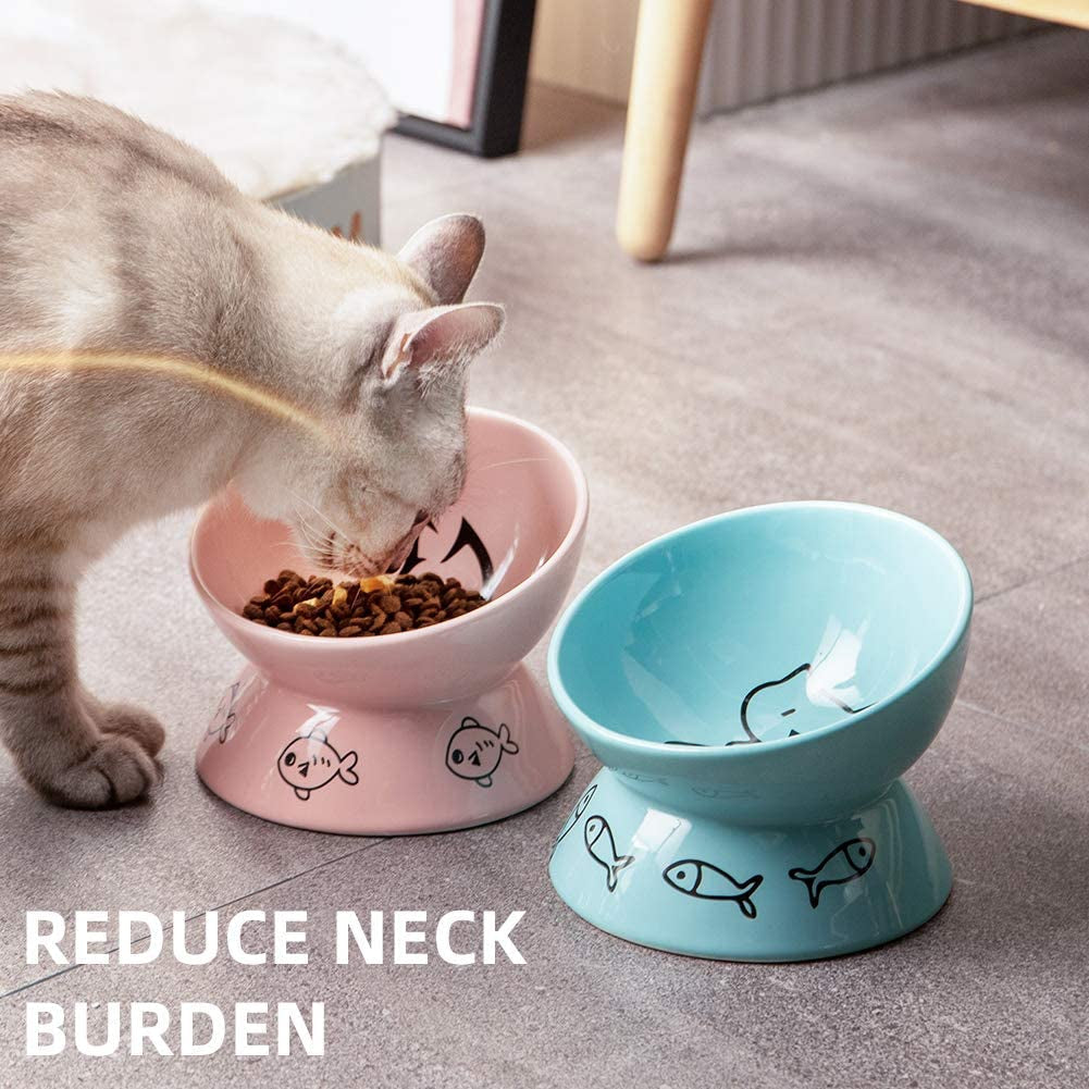 Cat Bowl Raised Elevated Dry Wet Food Ceramic ๐ฑ