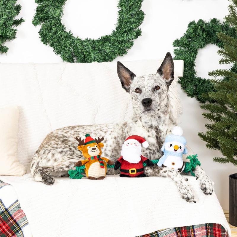 Christmas Crew Dog Toy Set