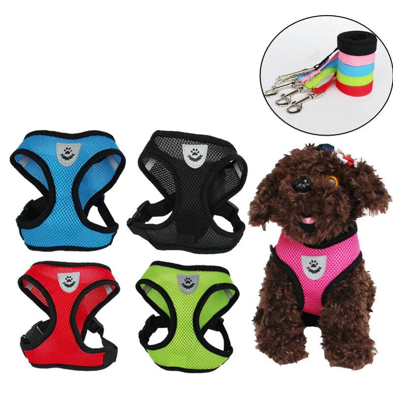 Adjustable Reflective Pet Harness With Leash 🦮 - Purrfect Pet Kingdom