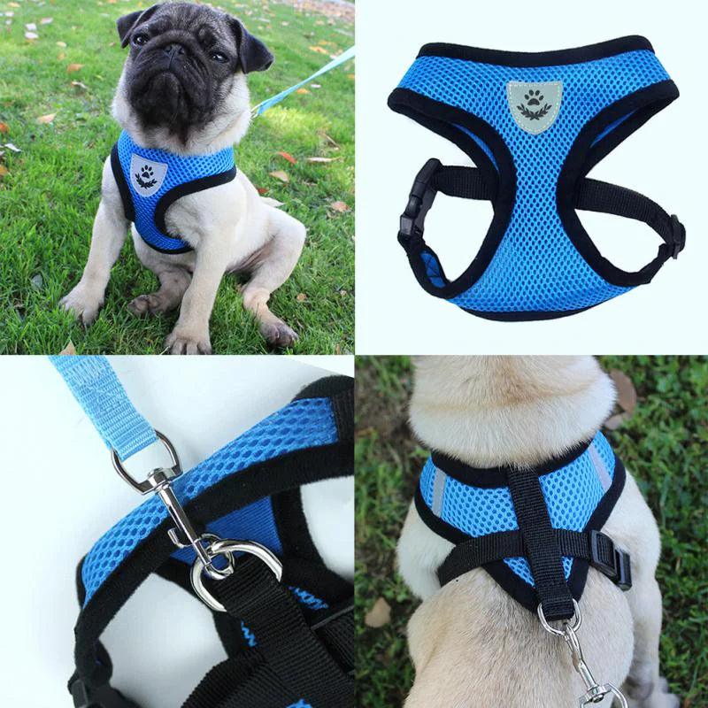 Adjustable Reflective Pet Harness With Leash 🦮 - Purrfect Pet Kingdom