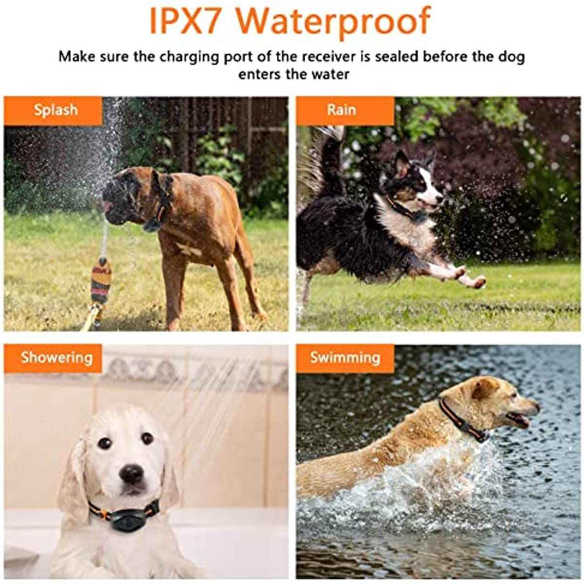 Purrfect Pet Kingdom Adjustable Training Collar for Stubborn Dogs Purrfect Pet Kingdom