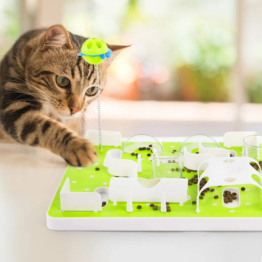 Interactive Food Puzzles For Cats