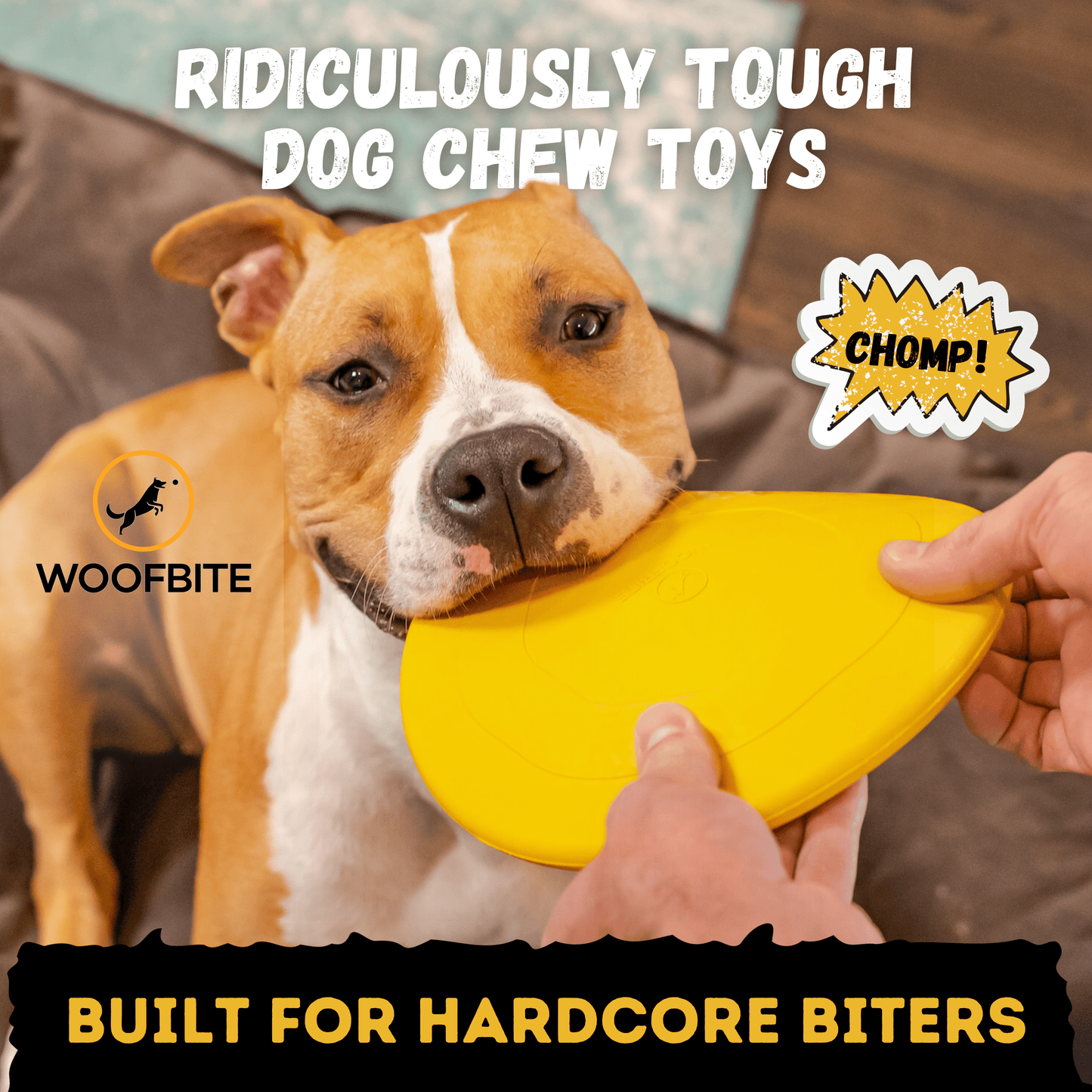 Air Disc - Flying Fetch Toy Ultimate ๐ฅ