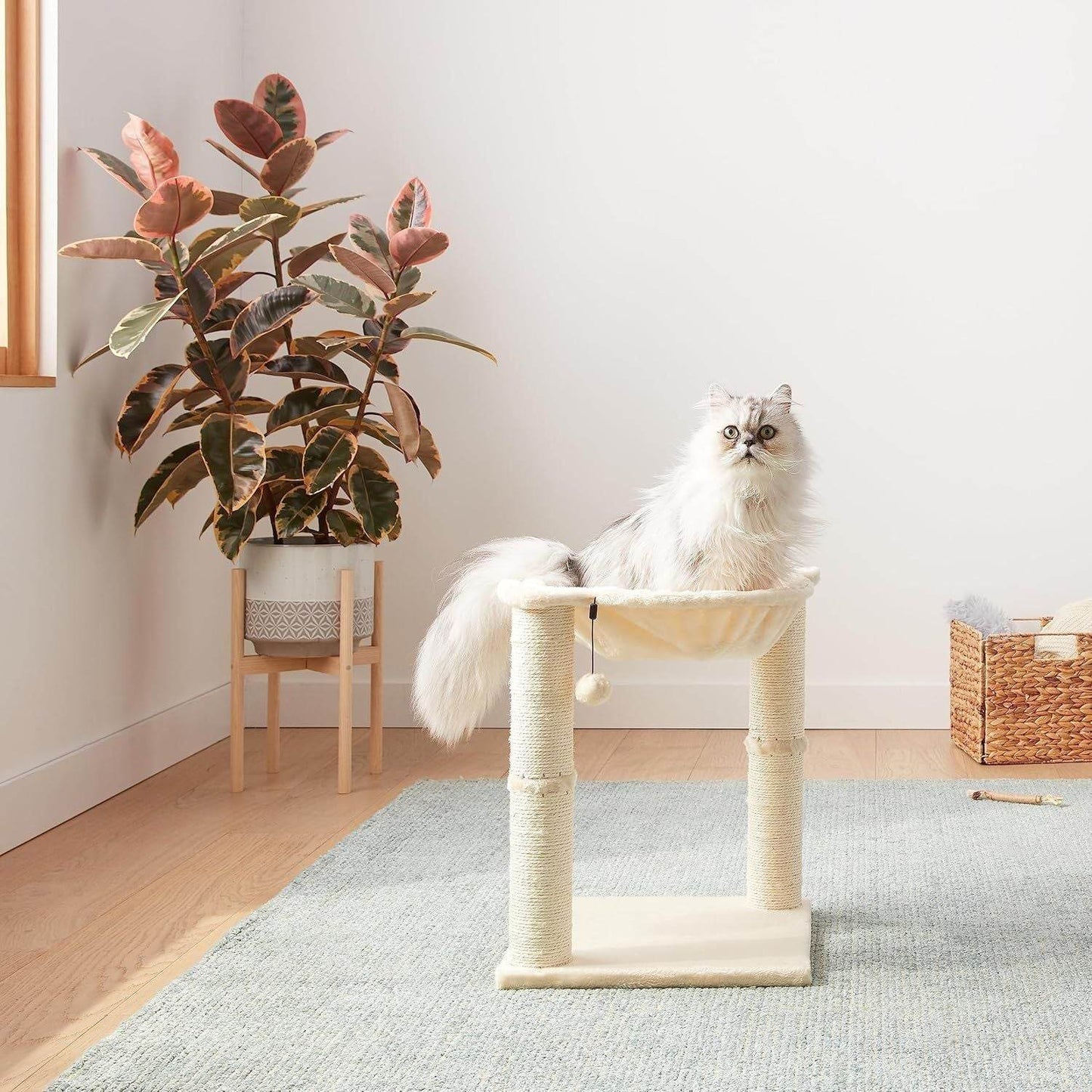 Purrfect Pet Kingdom Cat Scratching Post with Dangling Ball Purrfect Pet Kingdom