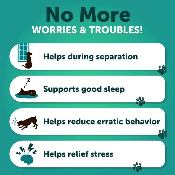 Anxiety Relief Treats Supplements - Purrfect Pet Kingdom