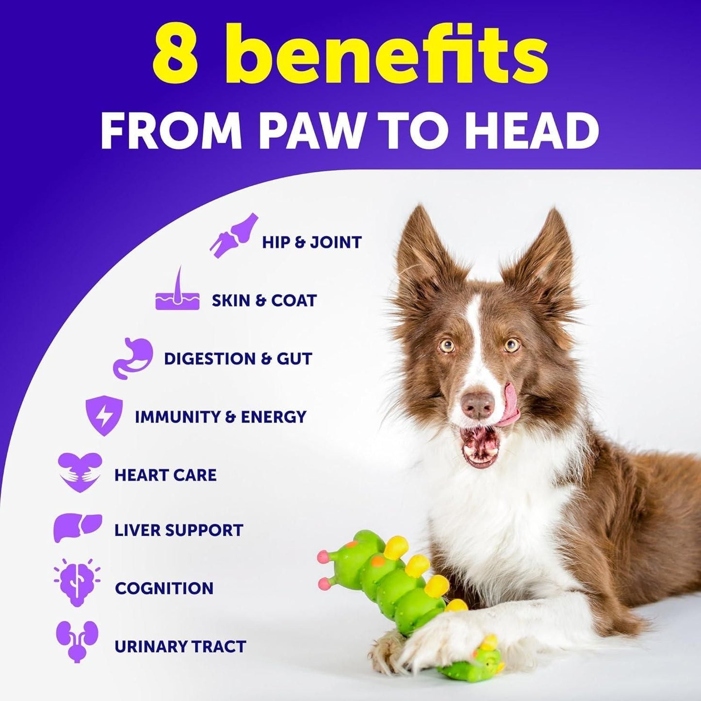 Purrfect Pet Kingdom Dog Multivitamin Chewable Supplements 20-in-1 Purrfect Pet Kingdom