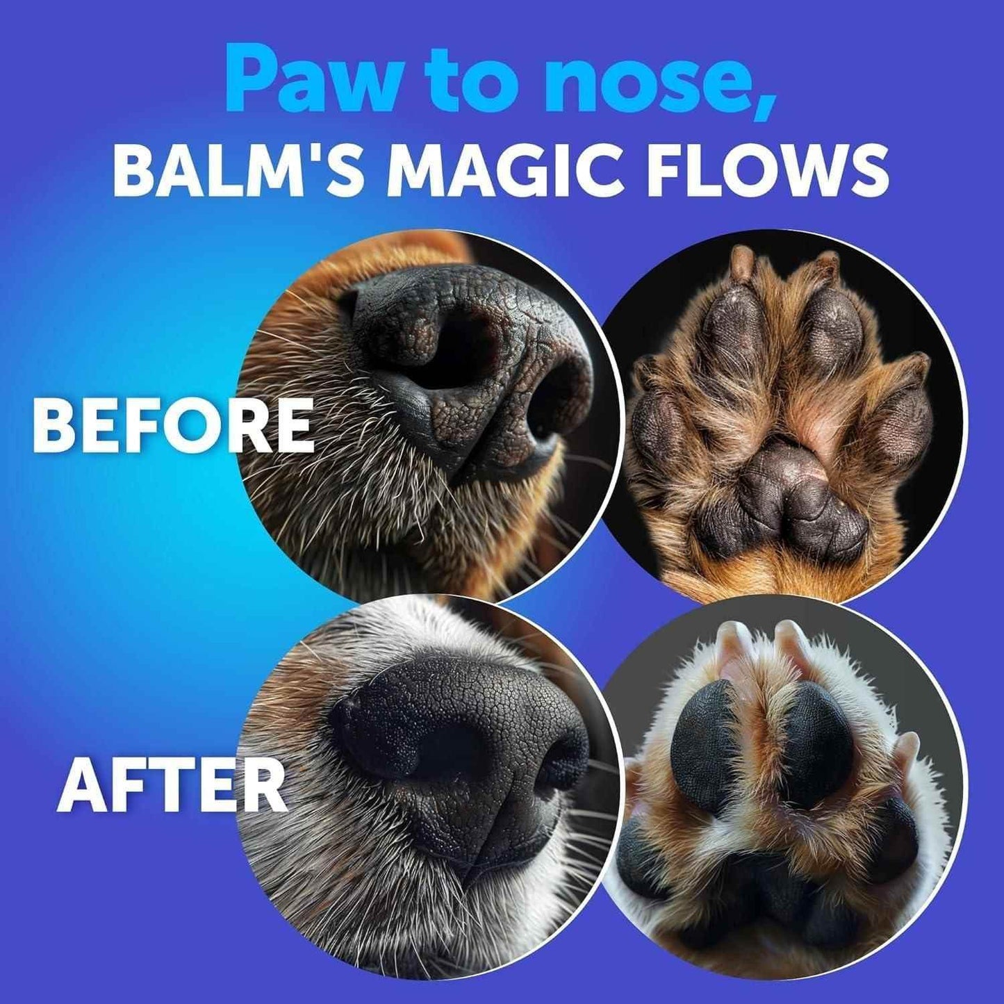Before and after images showing pet nose and paw healing using royal paw moisturizer for cats and dogs