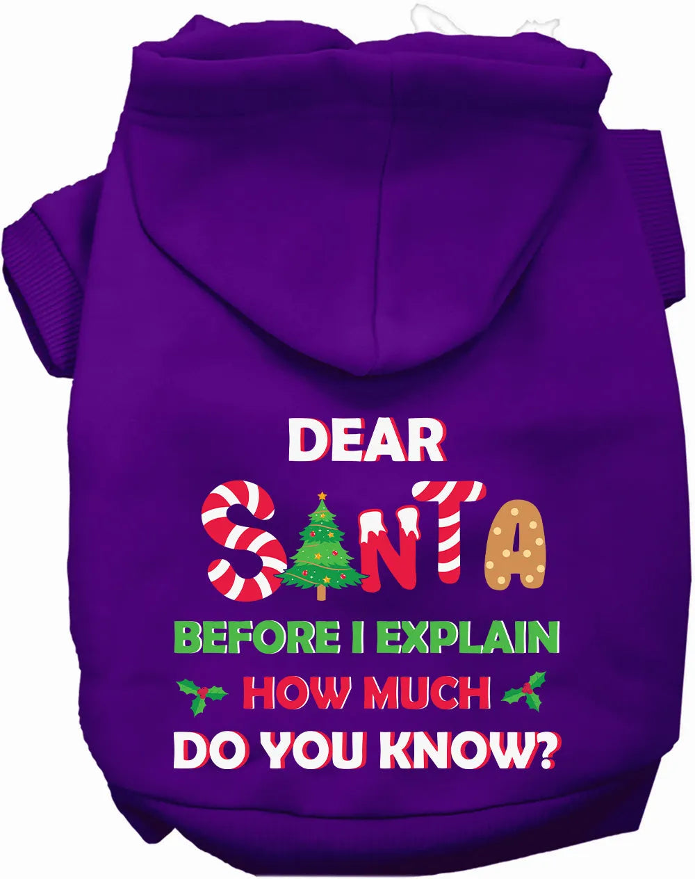 As You Wish Apparel - Santa, How Much Do You Know? Christmas Pet Hoodie - Hoodie