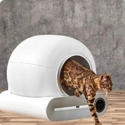 AutoClean Cat Litter Box Self - Cleaning ๐ฑ - Smart Litter Box - MANDOTOS