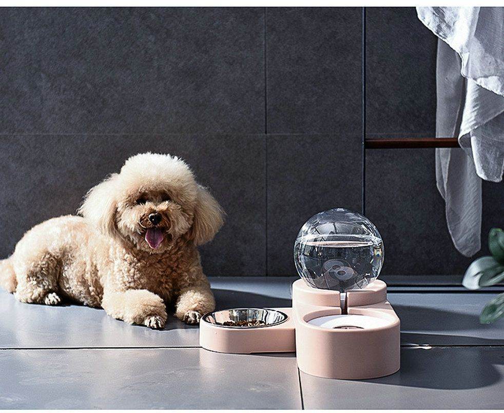 Purrfect Pet Kingdom automatic pet water fountain with modern design beside happy fluffy dog