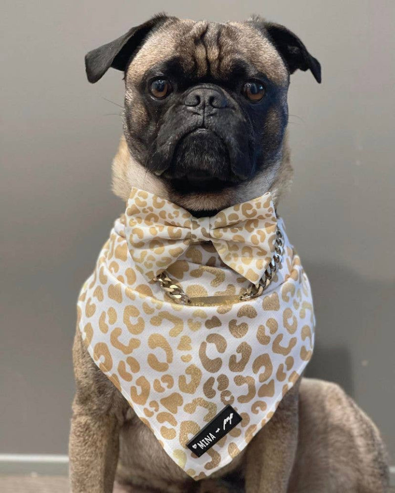You're So Golden Leopard Gold Bow Tie Dog Collar Attachment