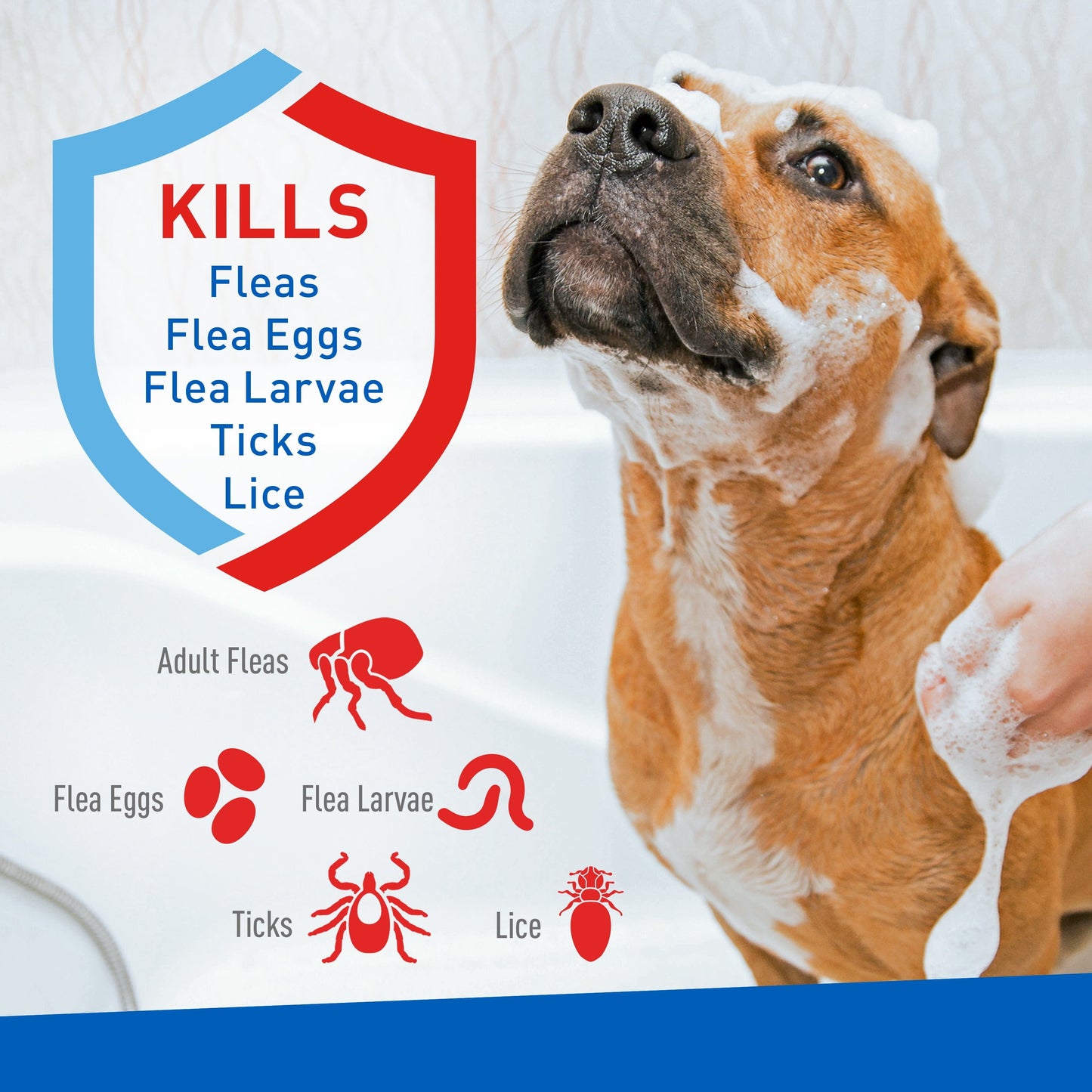 Flea And Tick Shampoo Dogs Foaming Wash 2 Pack ๐