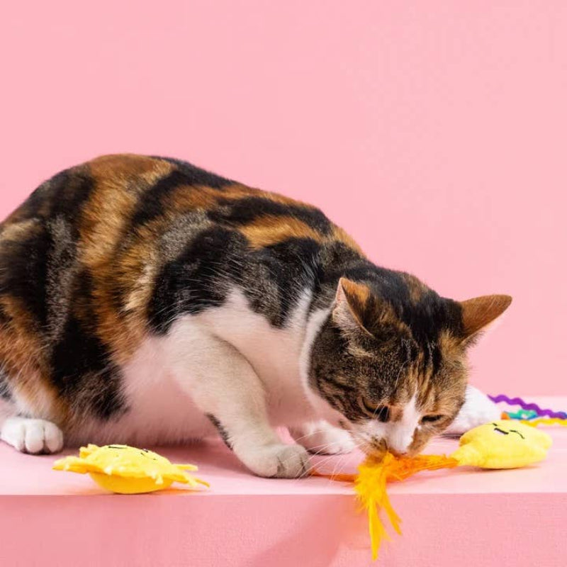 Purr-fect Weather Plush Summer Cat Toy Set - 3pc
