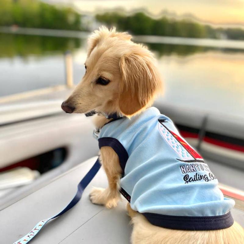 Sail Boat Dog Tee