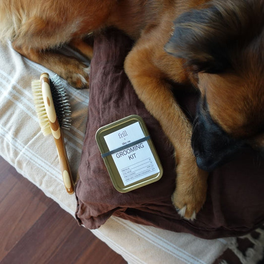 Two-Sided Pet Brush â Bristle & Wire for Shedding & Detangling - Purrfect Pet Kingdom