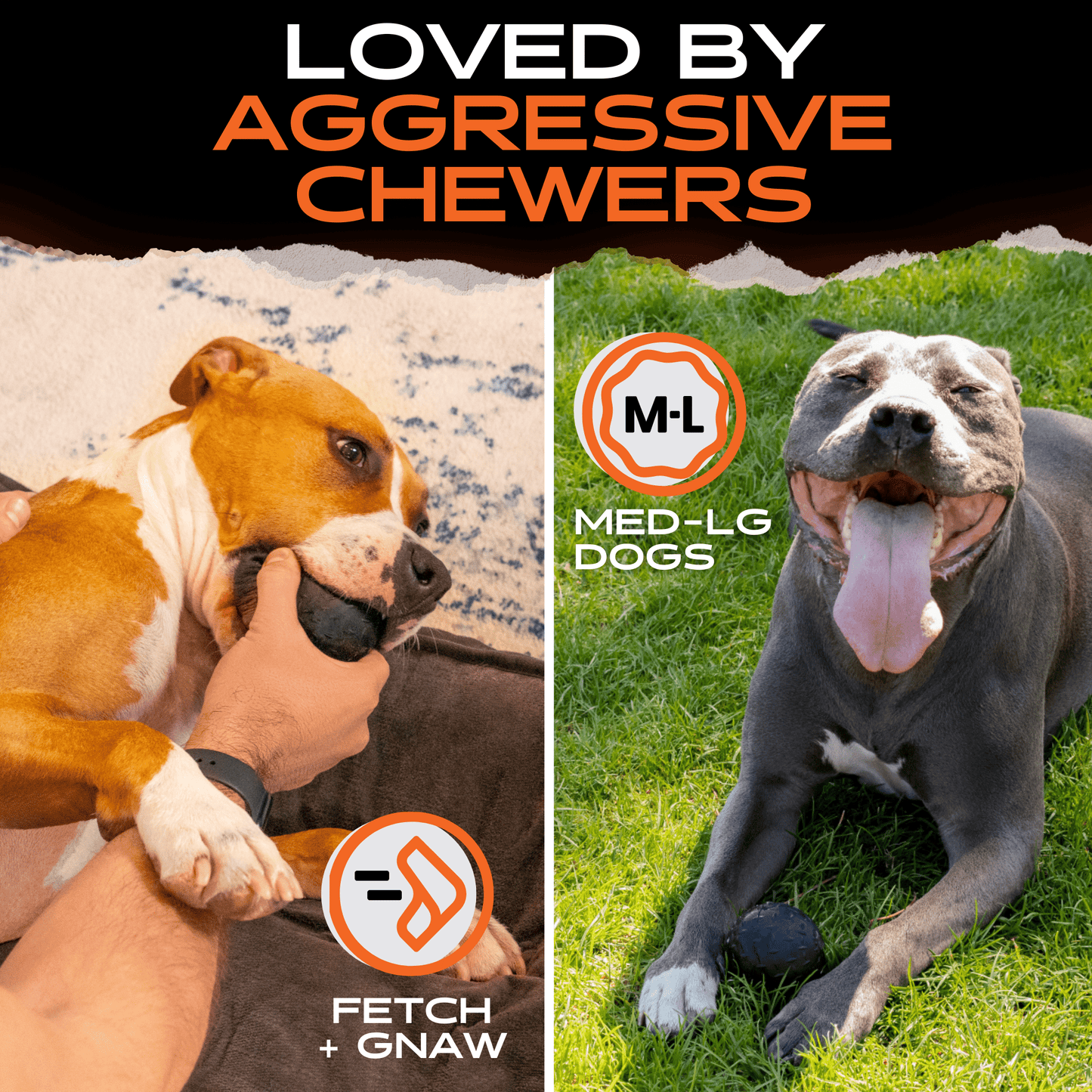 Monster K9 Beast Ball Dog Toy ๐