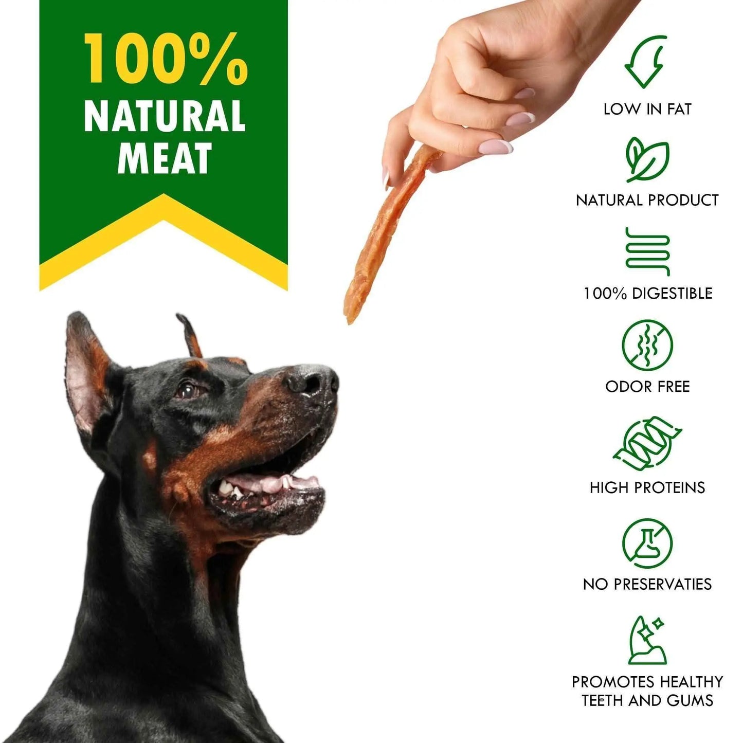 Doberman eagerly looking at organic chicken treats for dogs being held above with 100 natural meat benefits