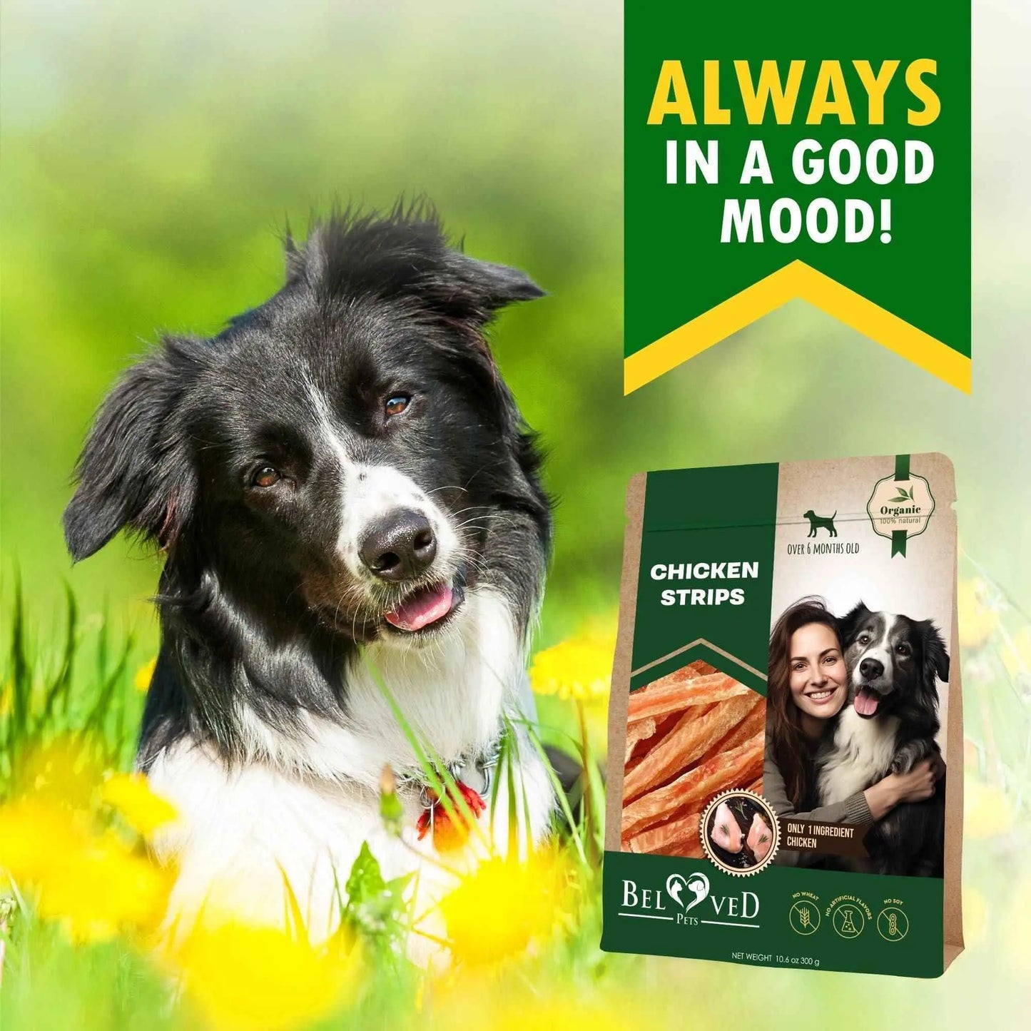 Purrfect Pet Kingdom organic chicken treats for dogs with happy black and white dog and owner in outdoor setting