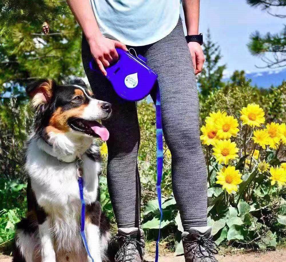 Best dog leash for active owners by Purrfect Pet Kingdom shown with person walking dog outdoors