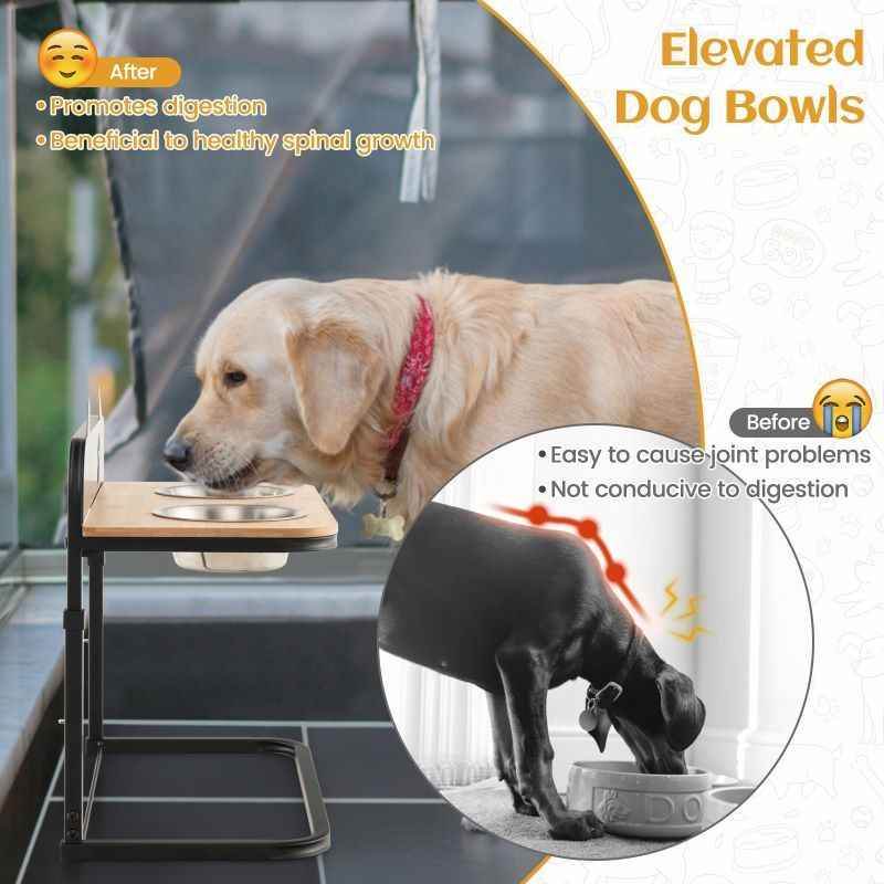 Purrfect Pet Kingdom Best Elevated Food Bowls for Pets Purrfect Pet Kingdom