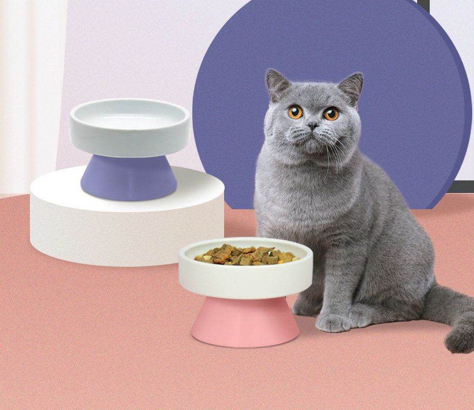 Purrfect Pet Kingdom Gourmet Raised Cat Bowl - Best Feeding Bowl for Cats ๐ Purrfect Pet Kingdom
