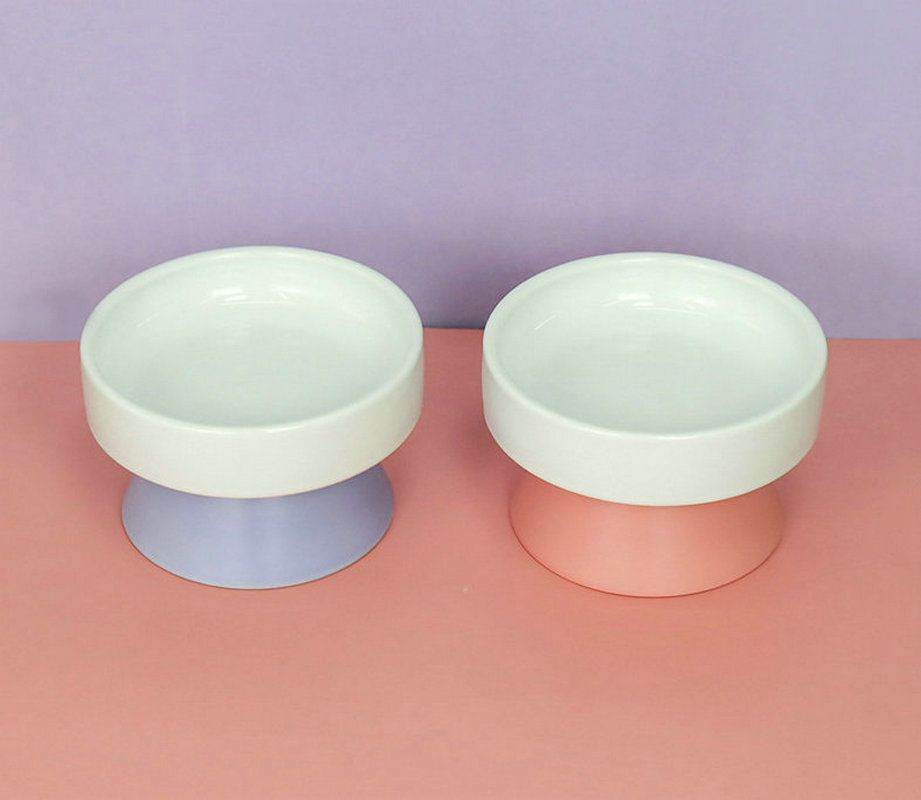Purrfect Pet Kingdom Gourmet Raised Cat Bowl - Best Feeding Bowl for Cats ๐ Purrfect Pet Kingdom