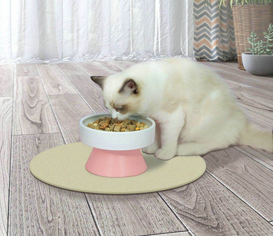 Purrfect Pet Kingdom Gourmet Raised Cat Bowl - Best Feeding Bowl for Cats ๐ Purrfect Pet Kingdom