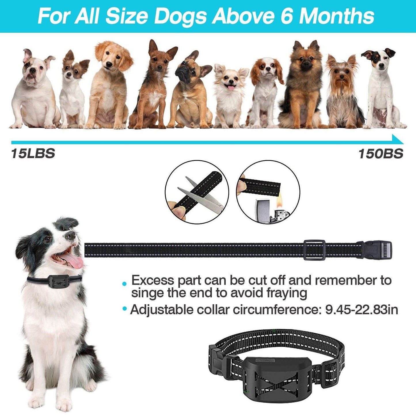 Purrfect Pet Kingdom Best Invisible Fence for Dogs Wireless Purrfect Pet Kingdom