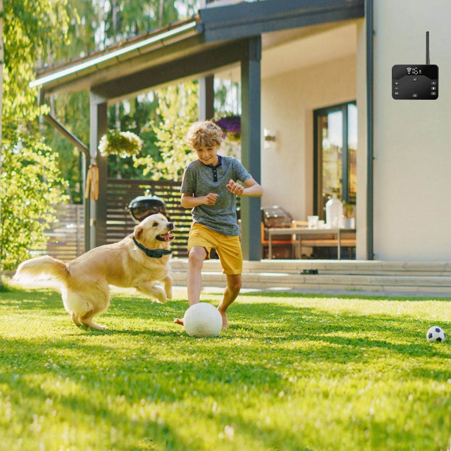 Purrfect Pet Kingdom Best Invisible Fence for Dogs Wireless Purrfect Pet Kingdom