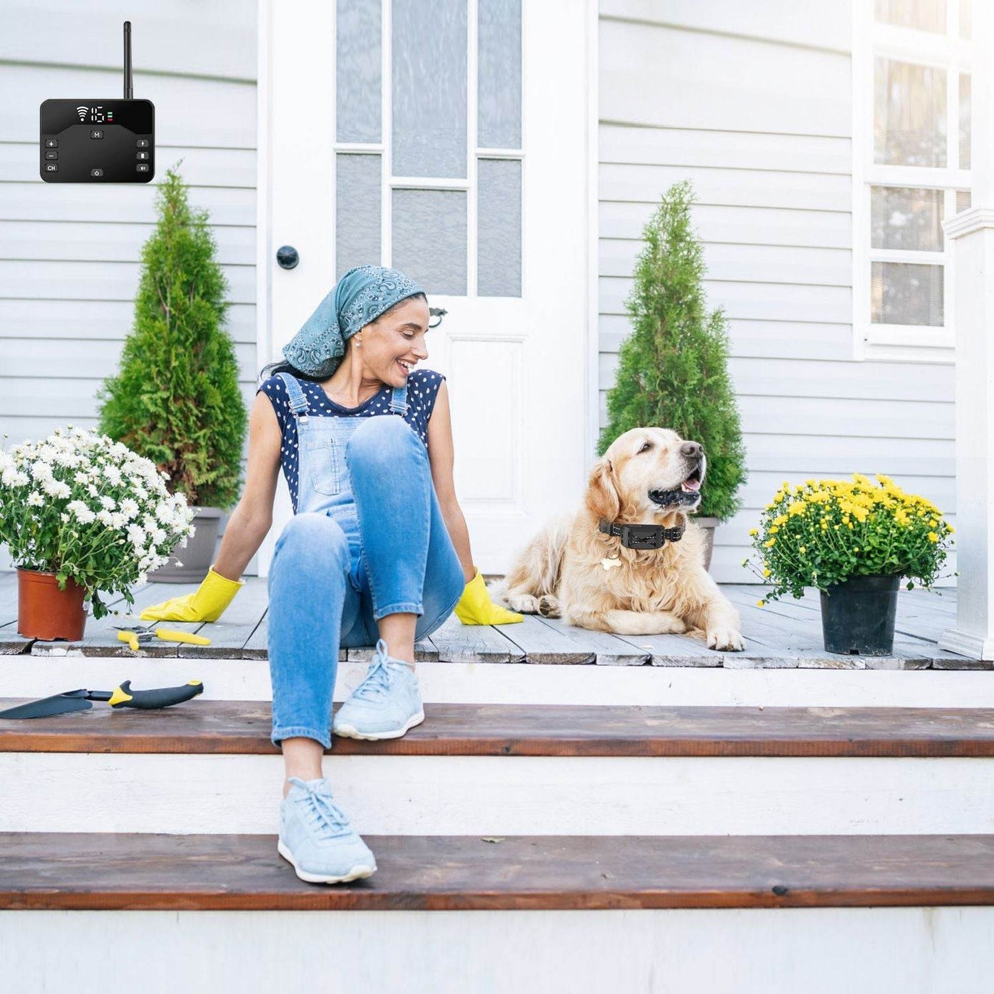 Purrfect Pet Kingdom Best Invisible Fence for Dogs Wireless Purrfect Pet Kingdom